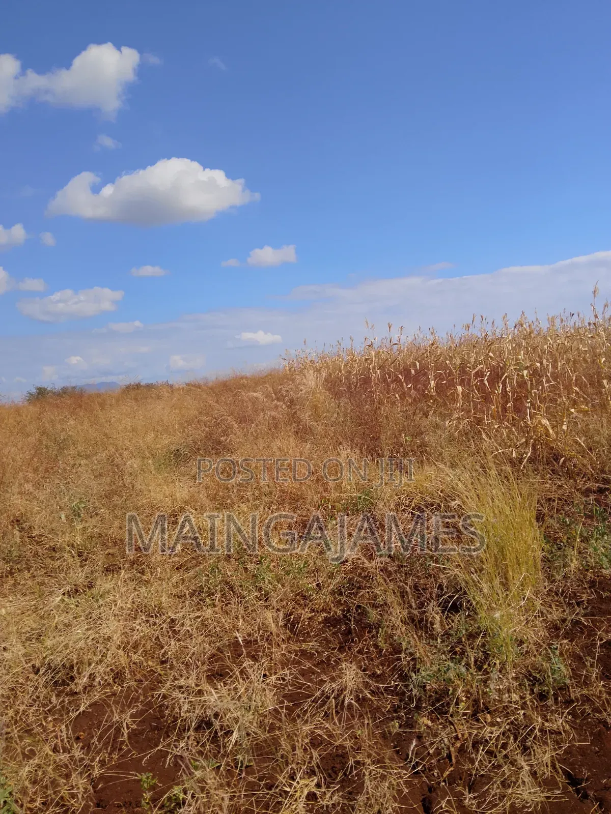 Land On Sale In Taveta And Its Environs - Taita Taveta