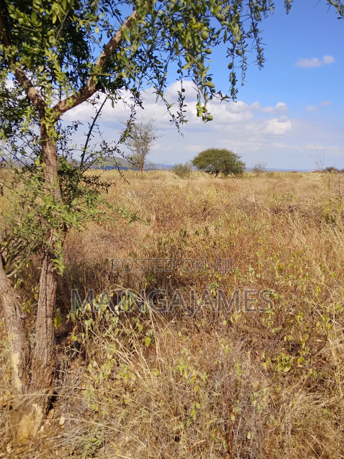 Land On Sale In Taveta And Its Environs - Taita Taveta