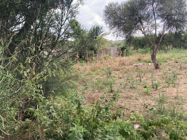 Residential Quarter Acre in Naivasha - thumbnail 3