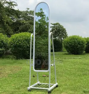 Bedroom Mirror; Modern Mobile Full Body Mirror With Storage