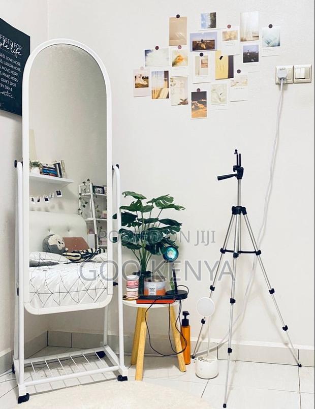 Bedroom Mirror; Modern Mobile Full Body Mirror With Storage - thumbnail 5