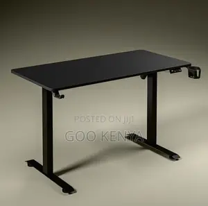Home Desk; Adjustable Electric Home Study Desk With Sit-Stand Function
