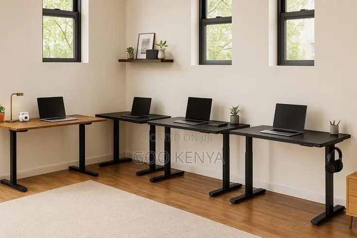 Home Desk; Adjustable Electric Home Study Desk With Sit-Stand Function