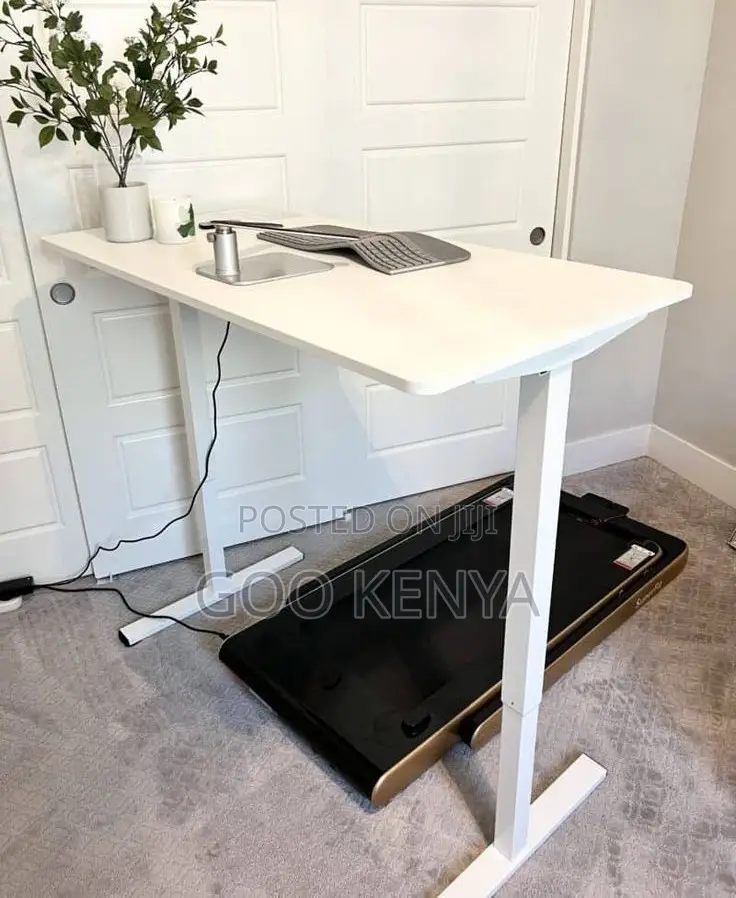 Home Desk; Adjustable Electric Home Study Desk With Sit-Stand Function