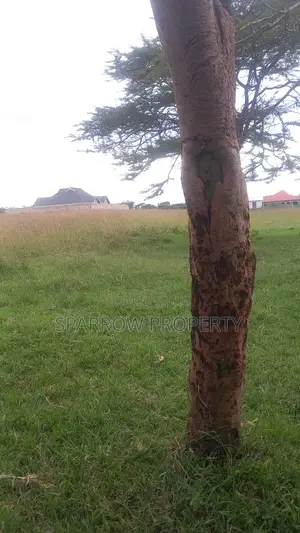 Nakuru 1acre Land