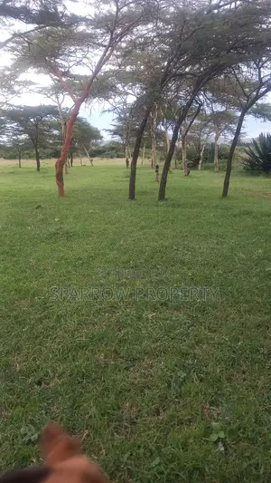Nakuru 1acre Land