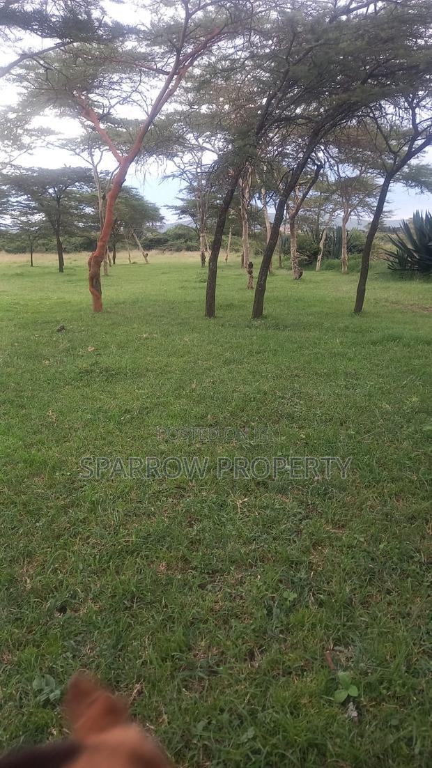 Nakuru 1acre Land - thumbnail 2