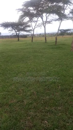 Nakuru 1acre Land