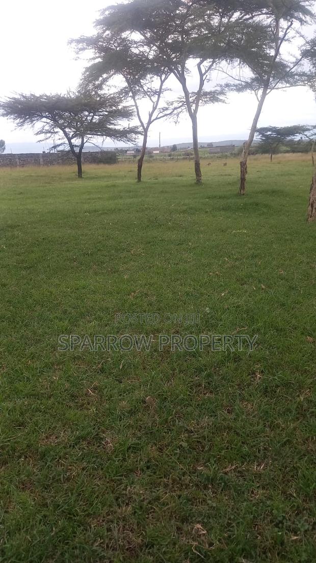 Nakuru 1acre Land - thumbnail 3