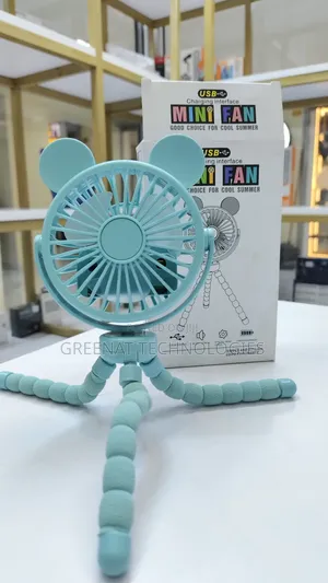 Hand Held Fancy Fans