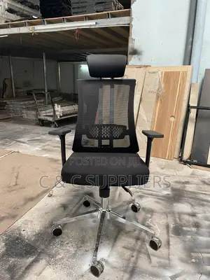 Orthopedic Office Lumber Support Chair