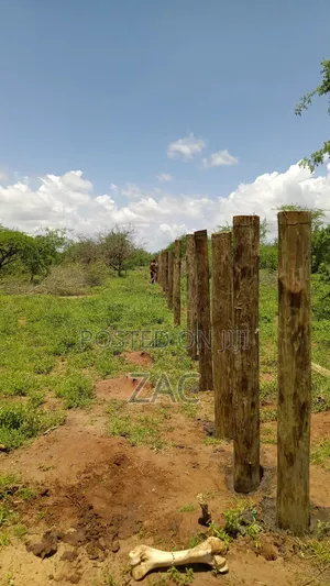 #Treated Posts Fencing Services#