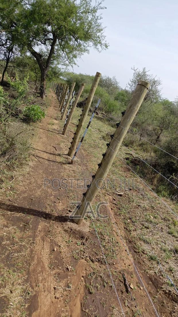 #Treated Posts Fencing Services# - thumbnail 7