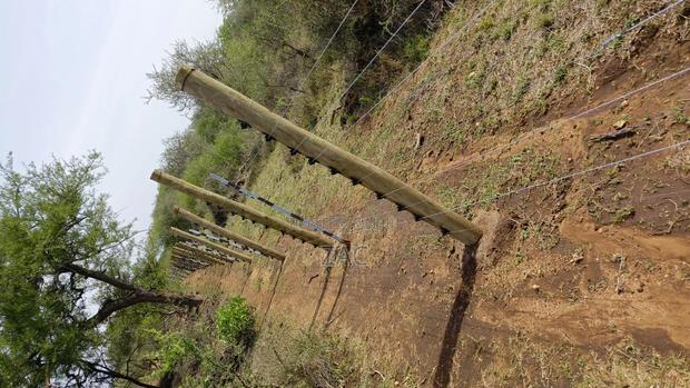 #Treated Posts Fencing Services# - thumbnail 8