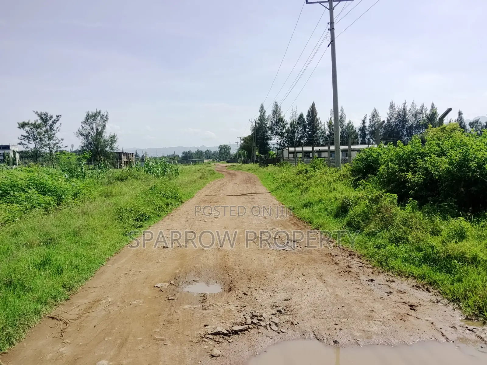 Kisumu Industrial Land