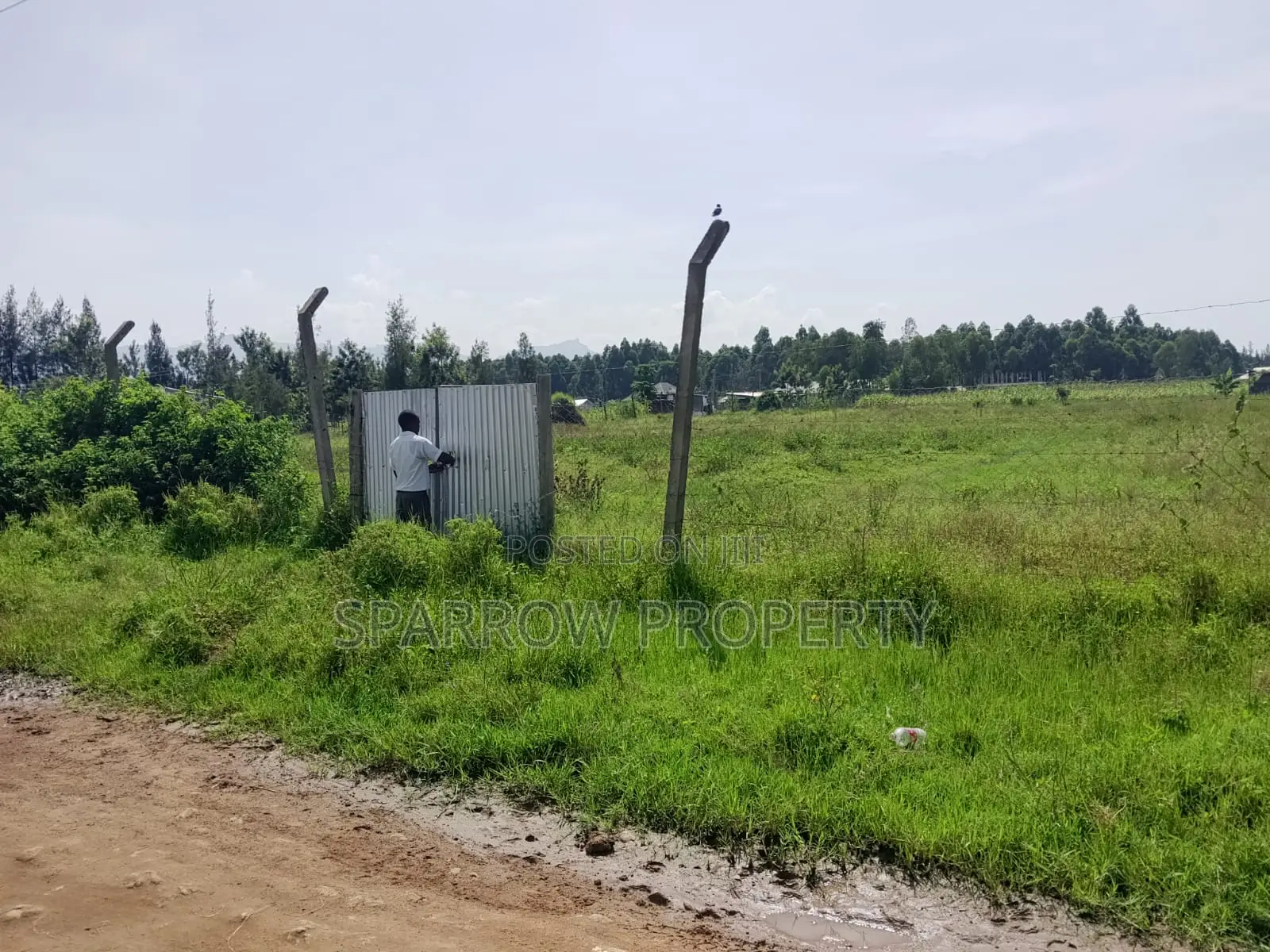 Kisumu Industrial Land