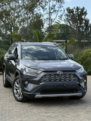 Toyota RAV4 2019 Gray