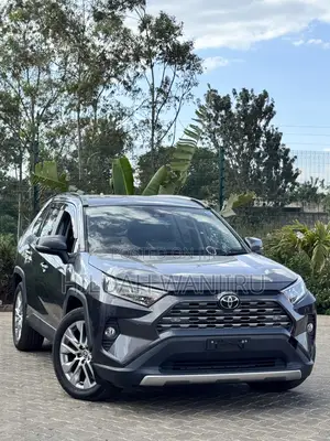 Toyota RAV4 2019 Gray