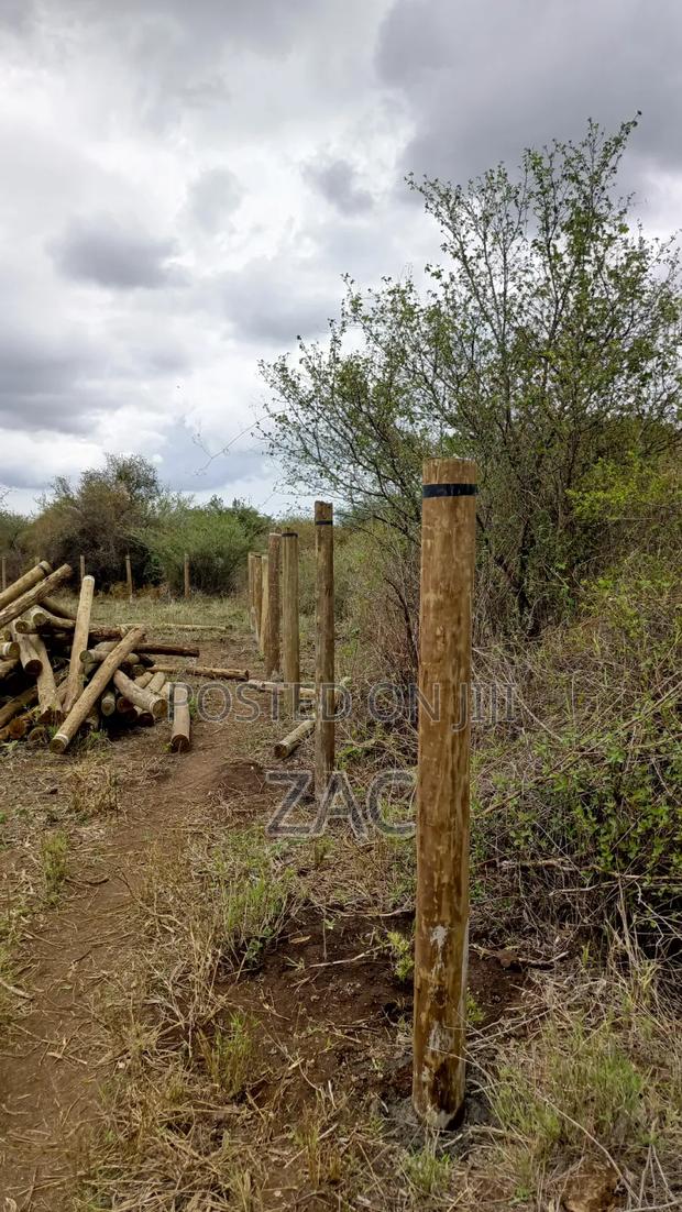 #Treated Posts Fencing Services# - thumbnail 13