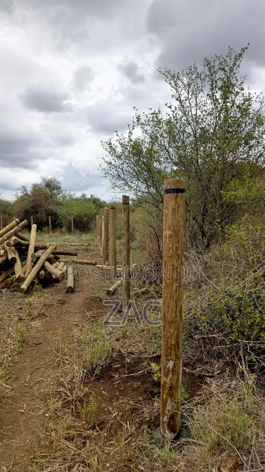 #Treated Posts Fencing Services#