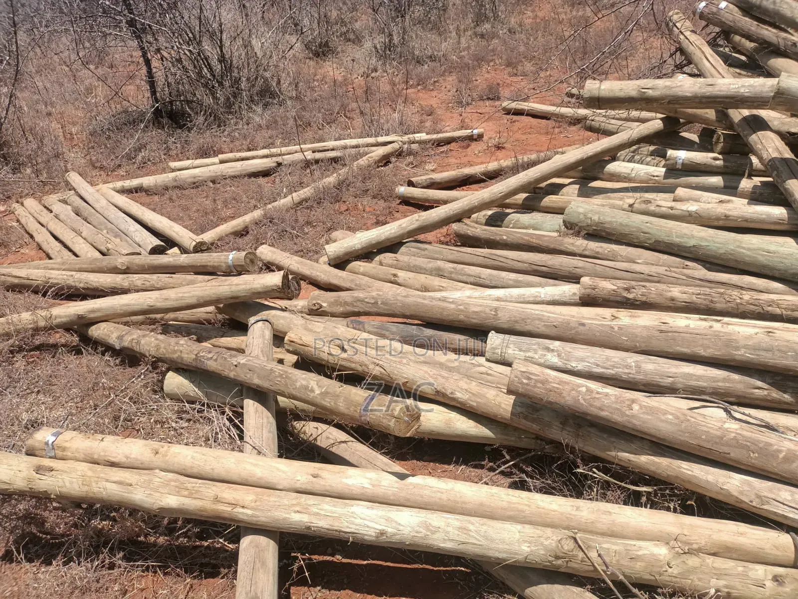 #Treated Posts Fencing Services#