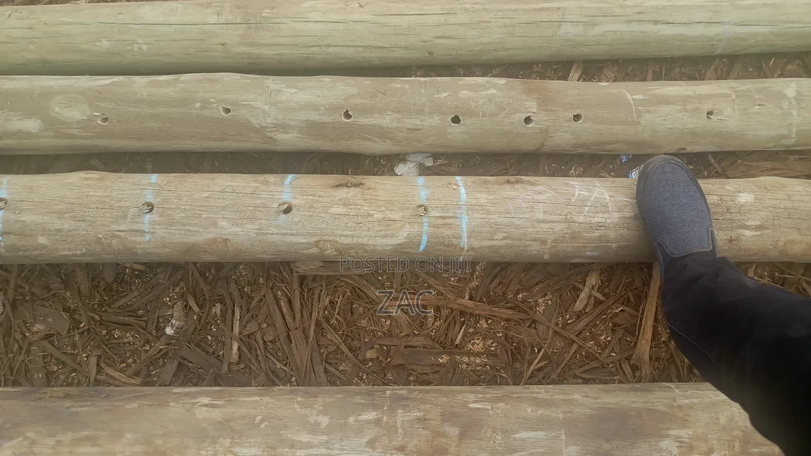 #Treated Posts Fencing Services#