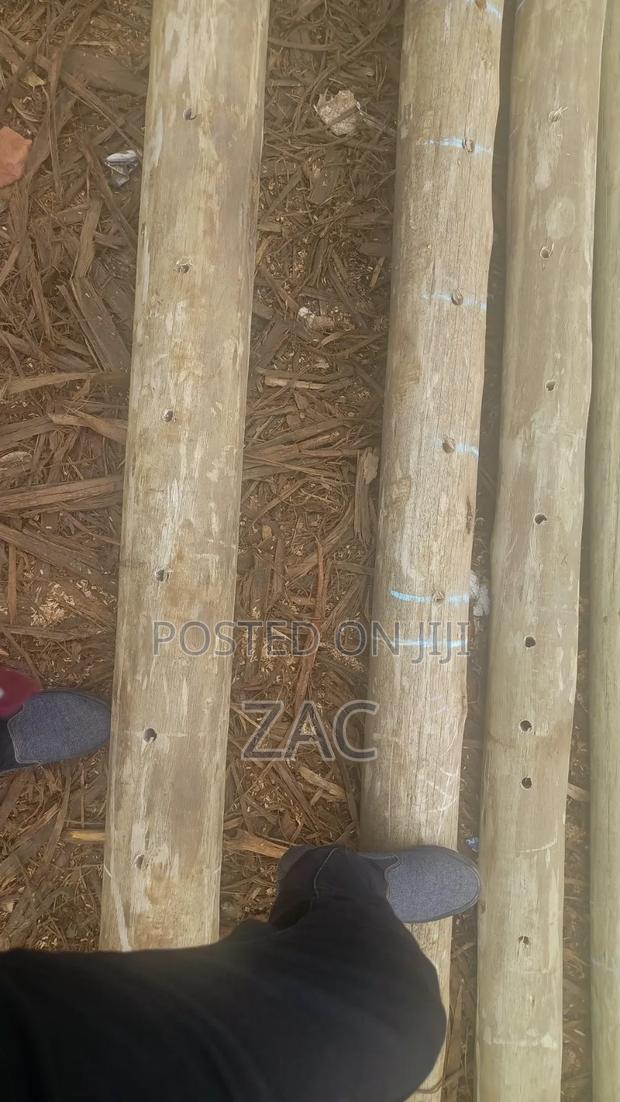 #Treated Posts Fencing Services# - thumbnail 16