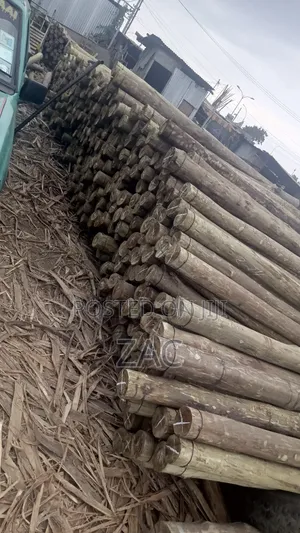 #Treated Posts Fencing Services#