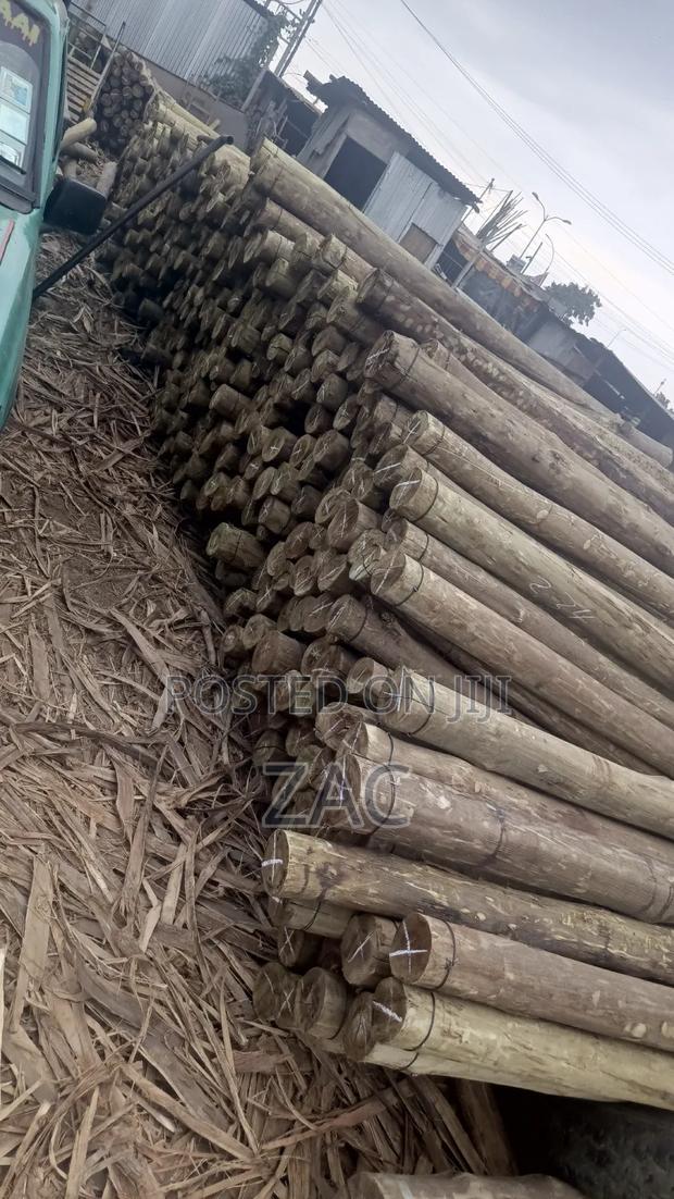 #Treated Posts Fencing Services#