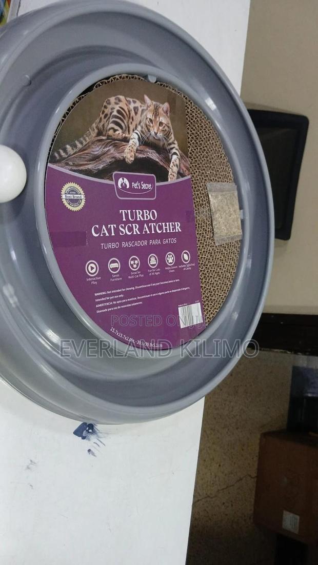 Interactive Cat Ball Track Toy