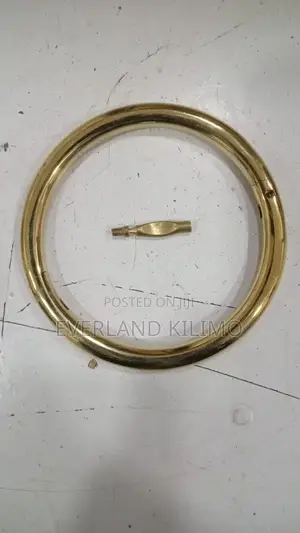 Brass Bull Ring - 75mm
