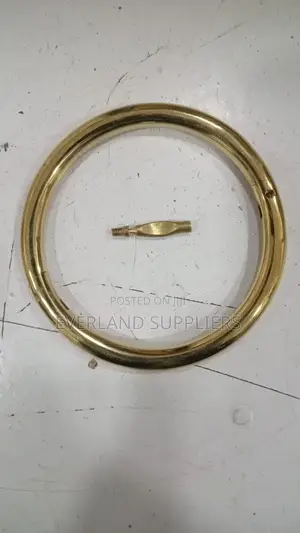 Brass Bull Ring - 75mm