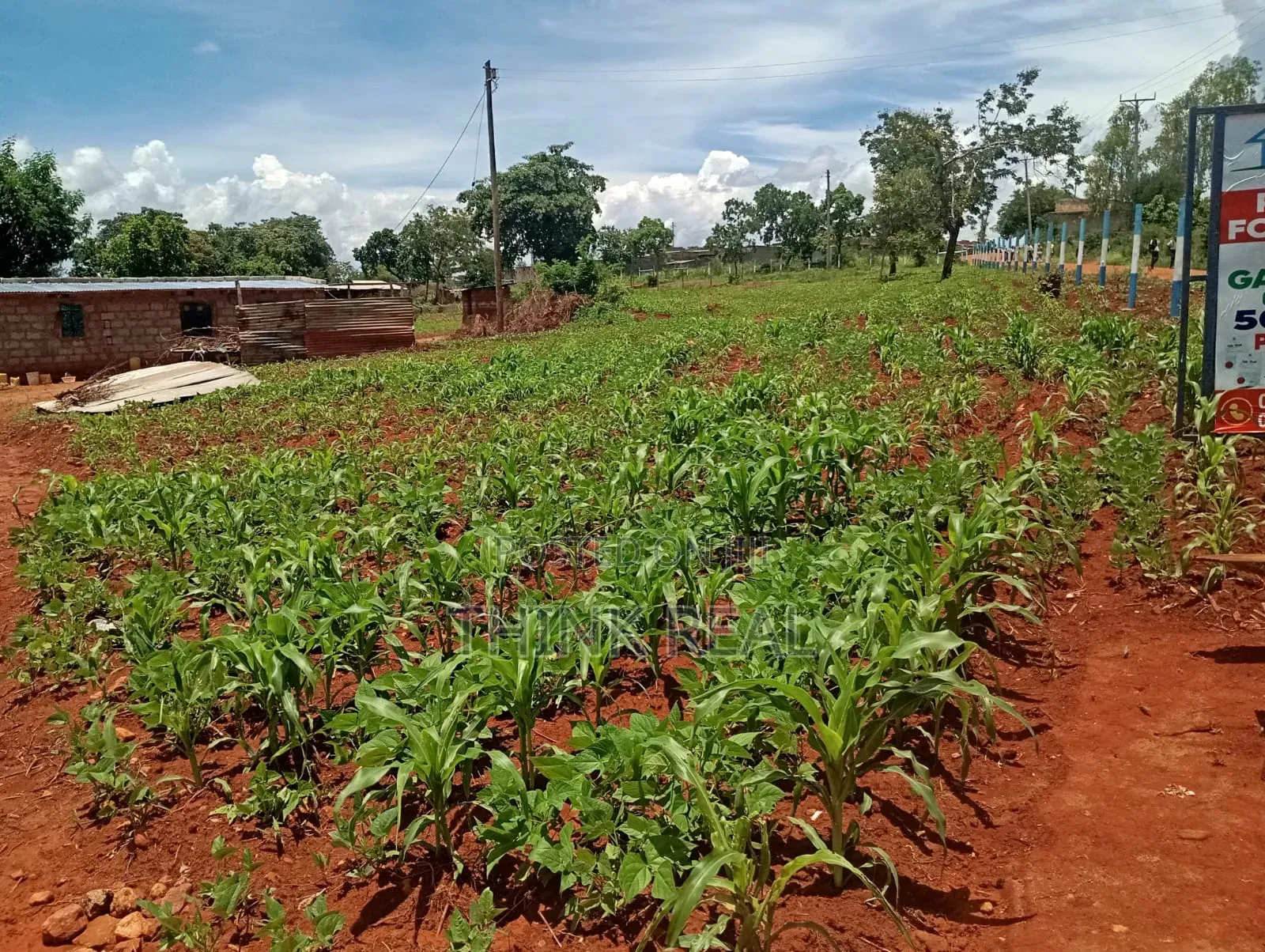 Plots for Sales at Makutano Ya Mwea