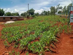 Plots for Sales at Makutano Ya Mwea