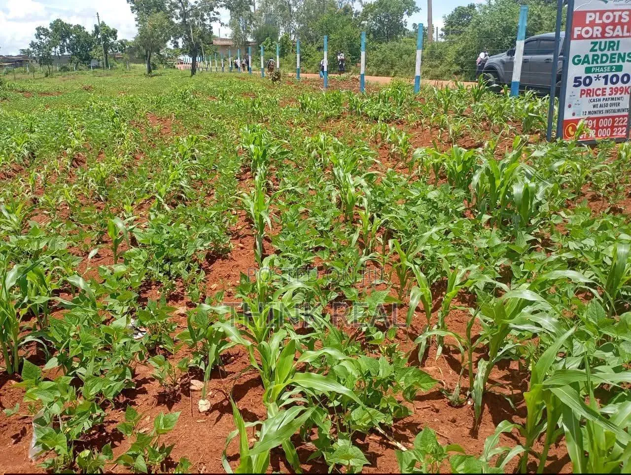 Plots for Sales at Makutano Ya Mwea