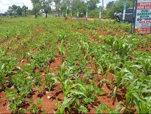 Plots for Sales at Makutano Ya Mwea