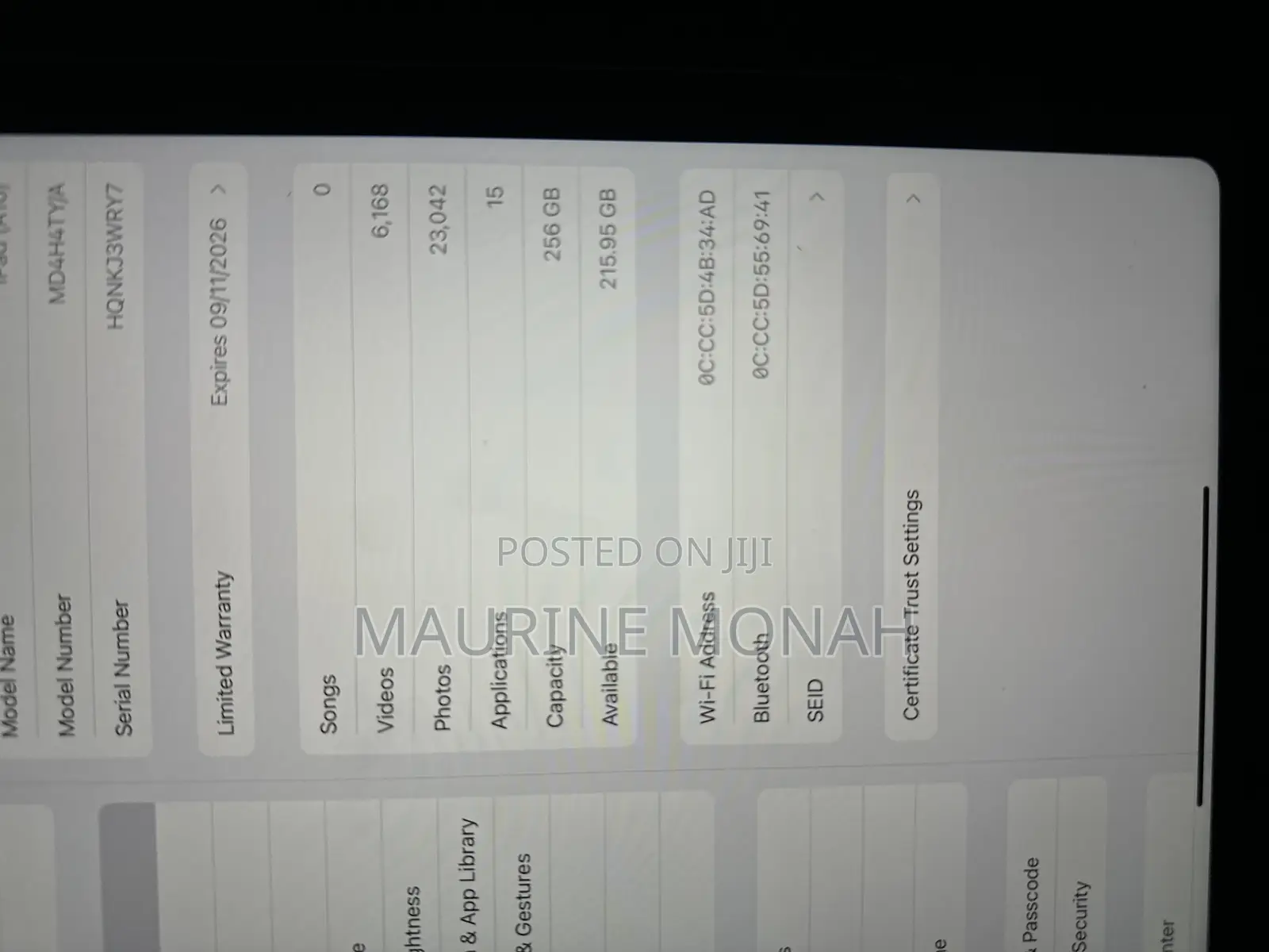 Apple iPad (2025) 256 GB Blue