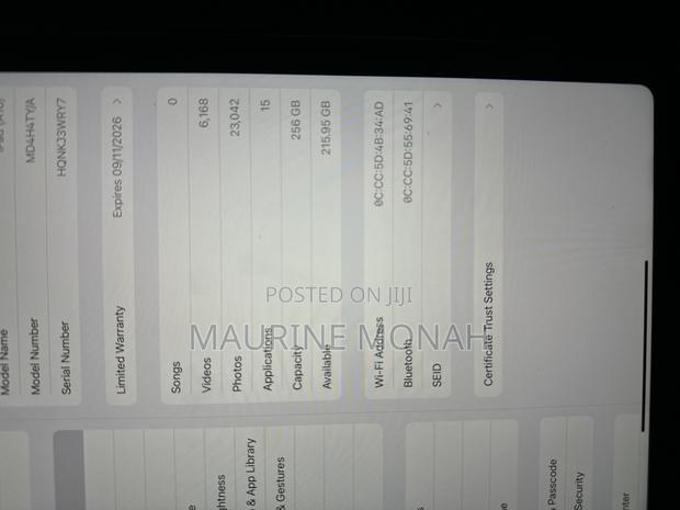 Apple iPad (2025) 256 GB Blue - thumbnail 4