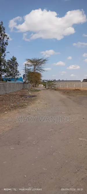 100/100 Plots for Sale