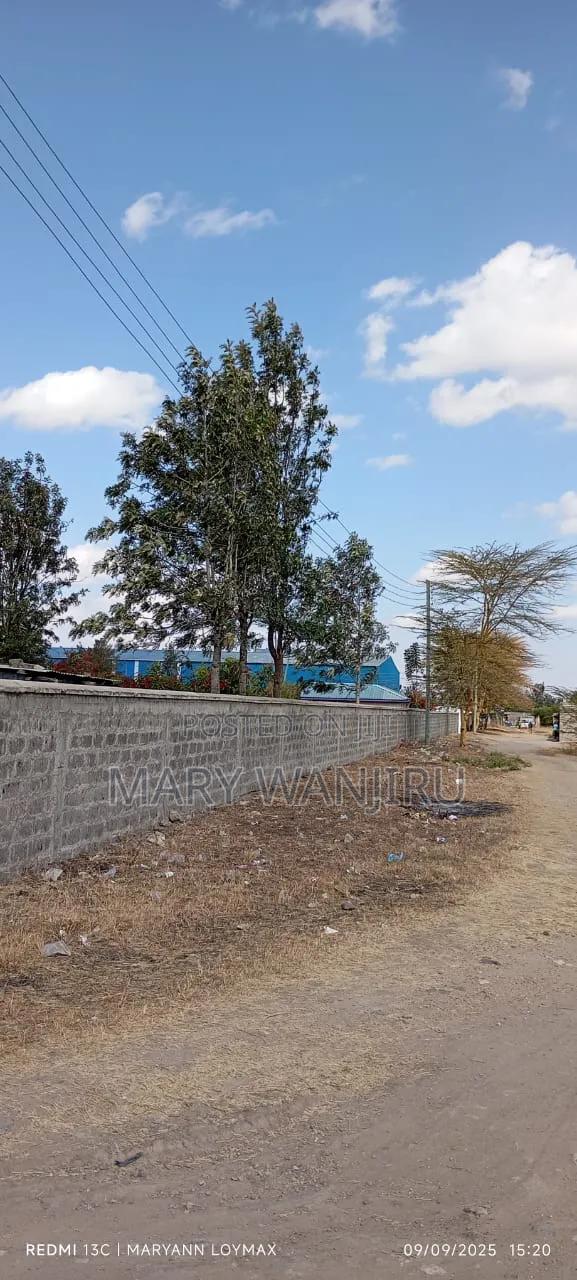 100/100 Plots for Sale - thumbnail 4