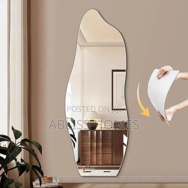 Dolphin Shape Acrylic Mirror