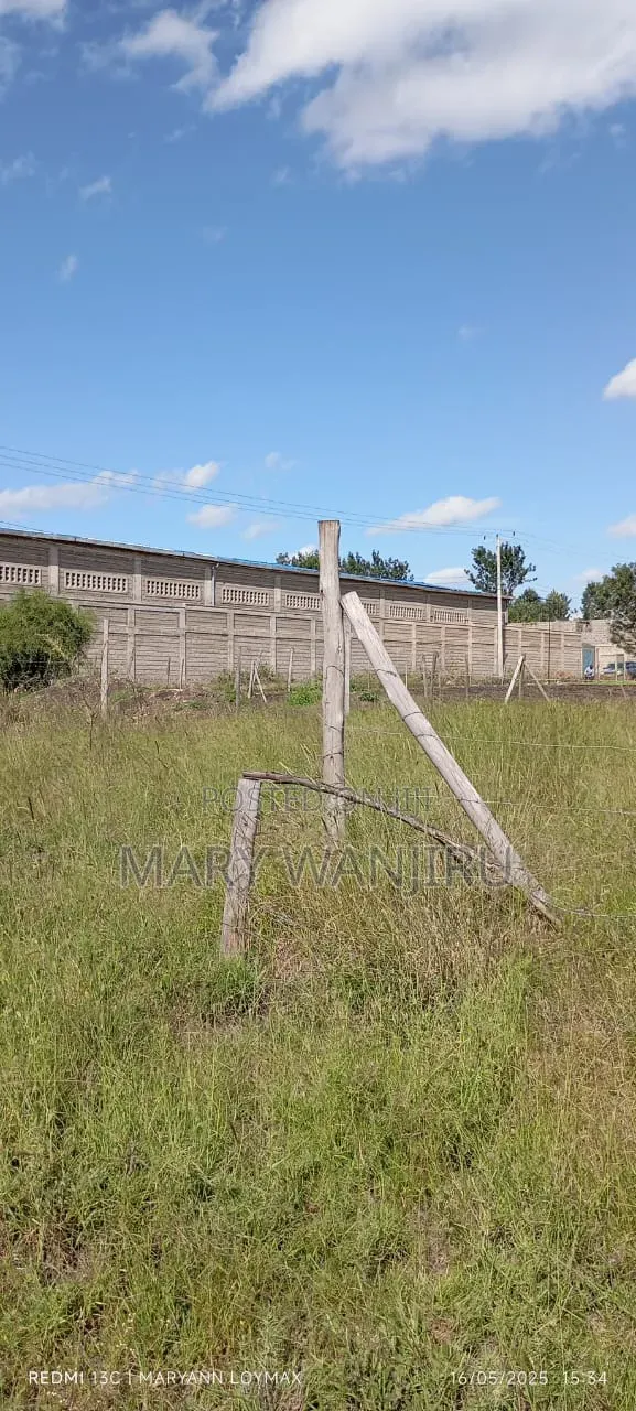 50/100 Plot Available for Sale