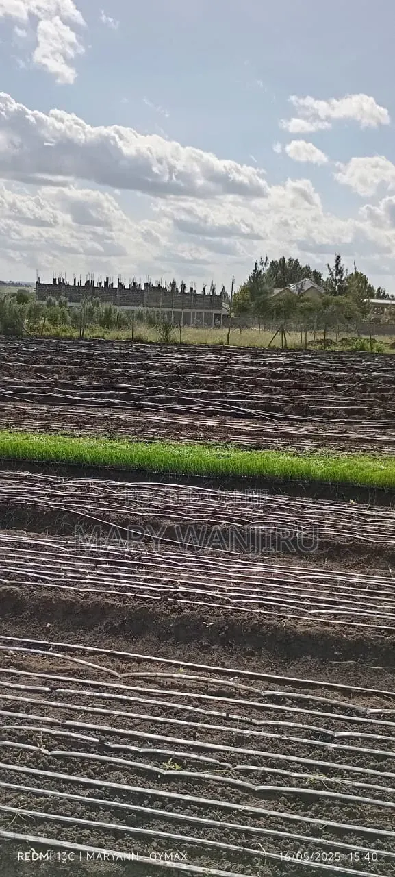 50/100 Plot Available for Sale