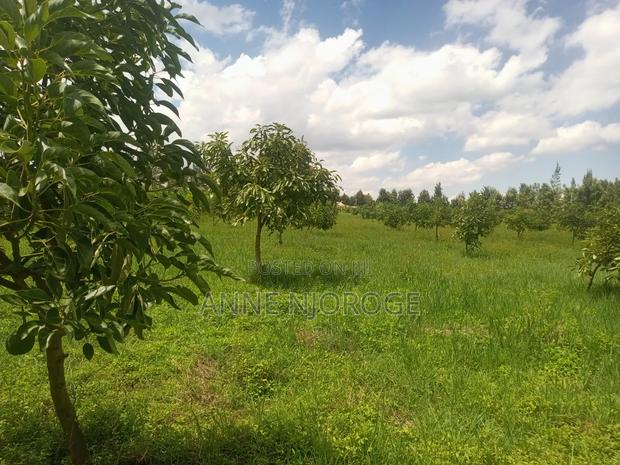 3 Acres for Sale at Mangu -Nakuru County