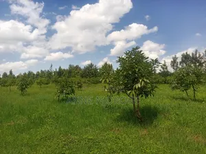 3 Acres for Sale at Mangu -Nakuru County
