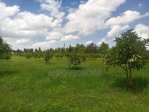 3 Acres for Sale at Mangu -Nakuru County