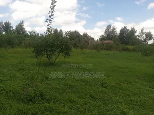 3 Acres for Sale at Mangu -Nakuru County