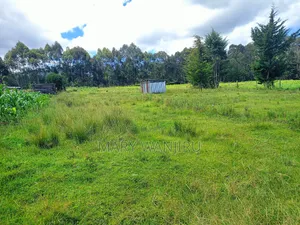 18 Acres for Sale
