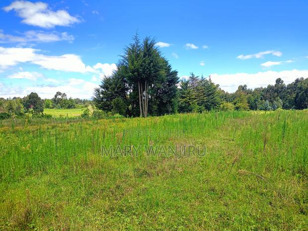 18 Acres for Sale - thumbnail 2