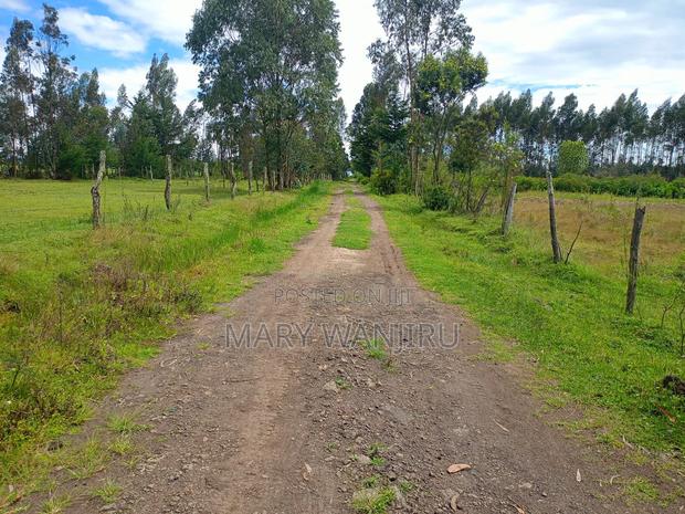 18 Acres for Sale - thumbnail 5